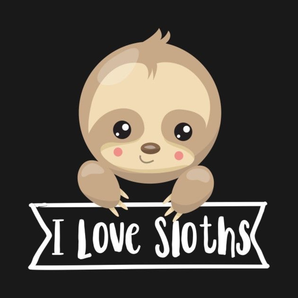 ISO or Seller Sloth Merchandise